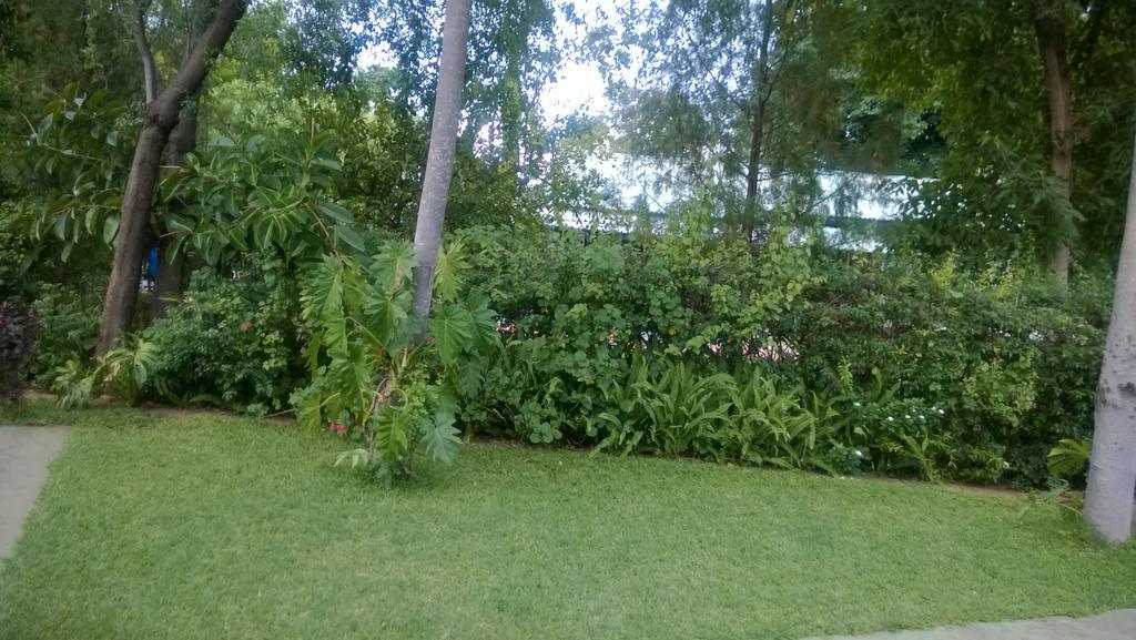 ליבינגסטון Gloria'S Bed And Breakfast מראה חיצוני תמונה